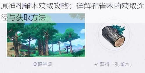 原神孔雀木获取攻略：详解孔雀木的获取途径与获取方法